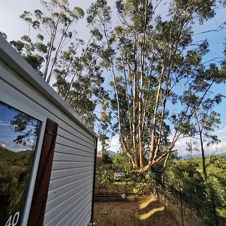 Mira Monti Location Κάμπινγκ Belvedere-Campomoro