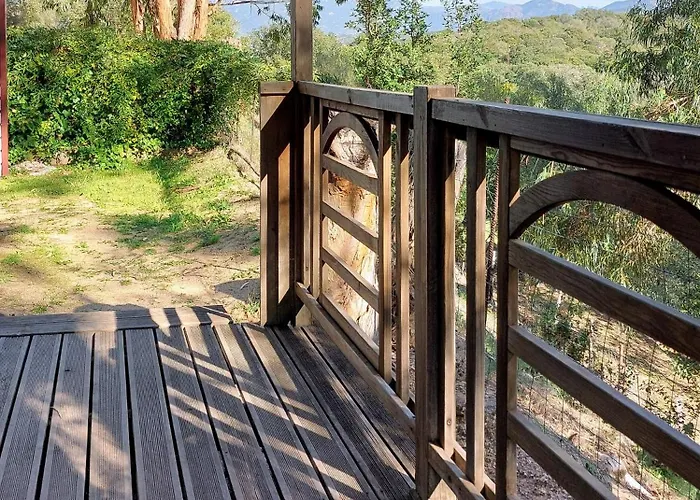 Kemp Mira Monti Location